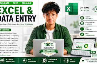 do microsoft excel data entry, cleaning and formatting