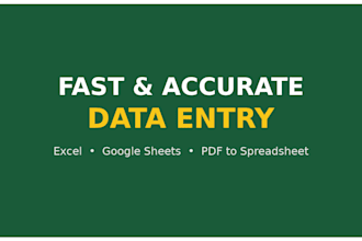 do fast, accurate data entry and spreadsheet cleanup