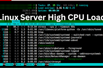 diagnose and resolve a high cpu usage issue on a linux server