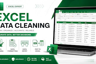 clean, format, and organize your excel data accurately