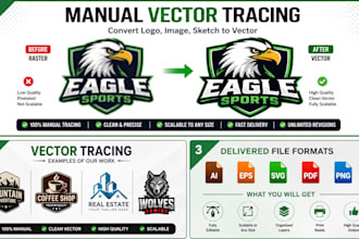manually vector trace, convert logo, image to svg, ai, eps