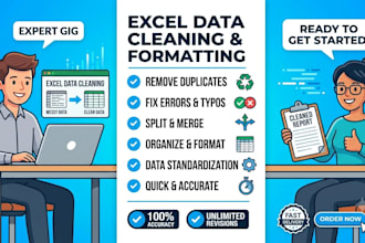 do excel data cleaning, excel projects