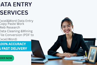 provide professional data entry and excel service