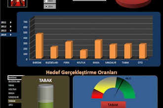 create professional excel dashboards and reports