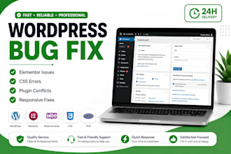 fix wordpress bugs, elementor issues and CSS errors