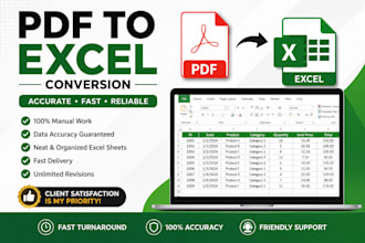convert PDF to excel with 100 percent manual accuracy
