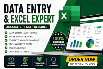 do accurate data entry, excel data cleaning, and formatting