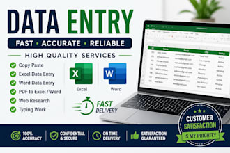 do data entry, copy past, microsoft excel and word tasks