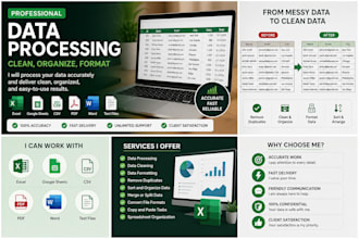 process, clean, organize, and format your data professionall