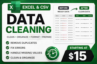 clean, format, and organize excel or CSV data