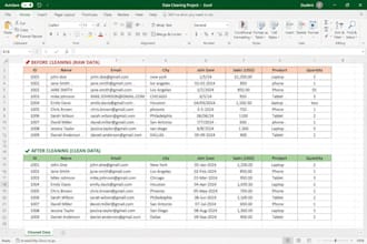 clean organize and format your data