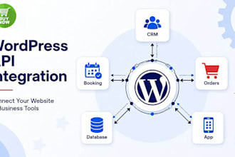 do any API integration with wordpress