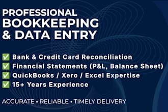do expert bookkeeping, cleanup and data entry in xero