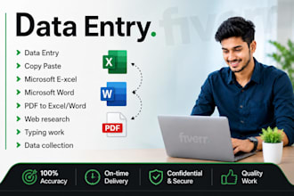 do professional data entry work
