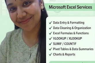 be your excel expert for formulas and data tasks
