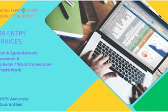 accurate data entry excel work,