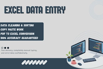 do accurately excel data entry data cleaning and copy paste work