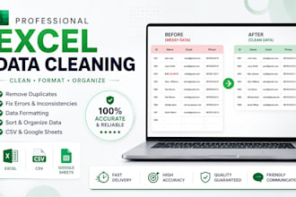 clean and format excel or CSV data professionally