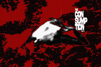 design custom indie film posters for you