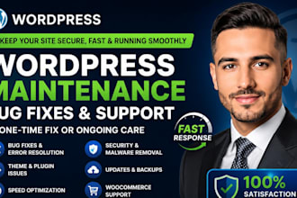 do wordpress maintenance, care for your website wordpress bug fix and support