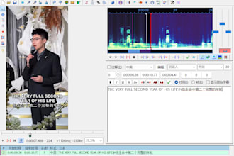 add english or chinese subtitles and captions to your video