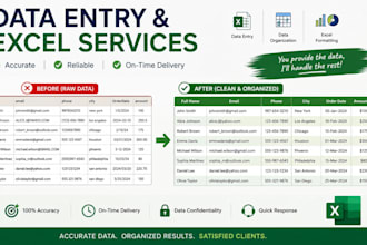 data entry and excel tasks