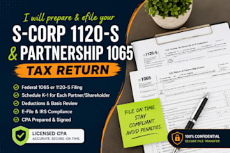 prepare and efile your s corp 1120s and partnership 1065 tax return