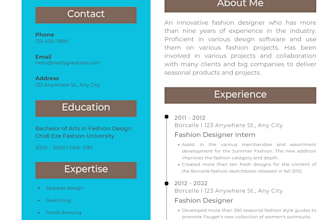 make professional cv resumes for job interview