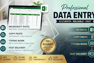 do excel data entry, copy paste, PDF to excel and excel formatting