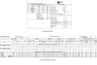 design professional electrical and fire alarm layouts and load calculations sld