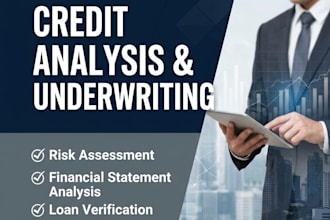 be your expert credit underwriter and loan assessor