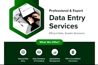 do perfect data entry and excel copy paste work
