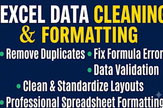 do excel data cleaning, formatting, remove duplicates and fix errors