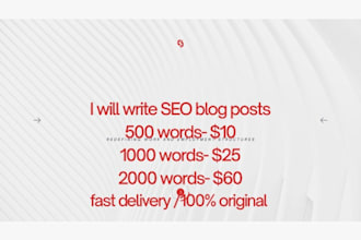 write SEO blog posts and website articles