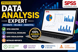 do spss data analysis statistical analysis and survey reports