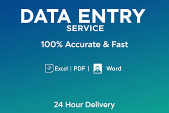 accurate data entry, excel and google sheets work
