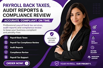 handle payroll back taxes, audit reports and compliance review