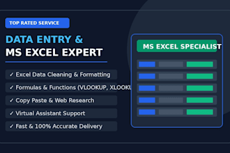 do professional data entry, ms excel , and virtual assistant work