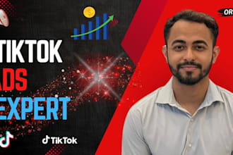 setup and manage tiktok ads campaign