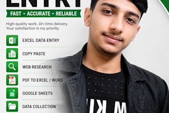 accurate data entry, copy paste, web research and excel data entry