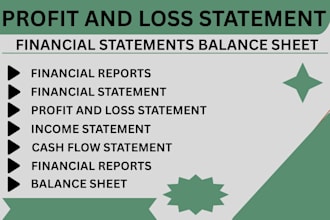 prepare profit and loss statement, financial statement, balance sheet, cash flow