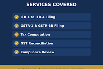 prepare and file income tax return and gst return for india