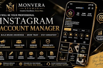 be your instagram account manager