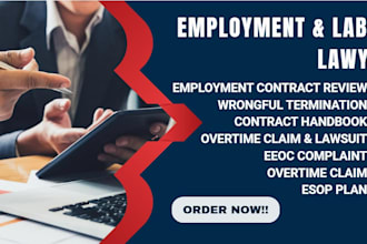 be your employment and labor attorney