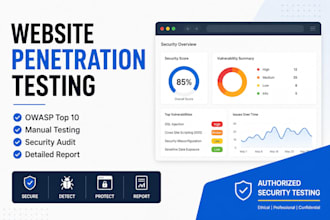 perform website and web app penetration testing