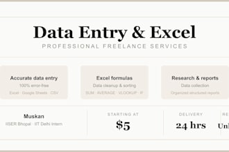 fast and accurate data entry, excel work and data management
