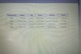 professional data entry and excel services