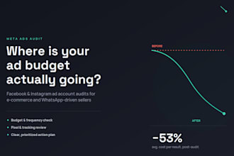audit and optimize your facebook and instagram ad campaigns