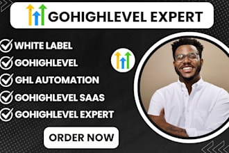 setup gohighlevel saas, white label, snapshot and agency