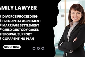 draft and review your divorce petition, child custody, and marriage cases